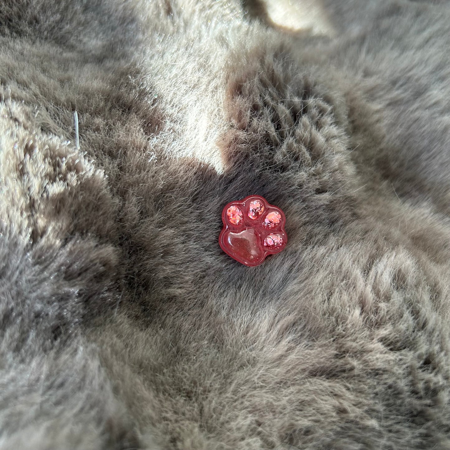 Pfote aus Epoxidharz – Hundepfötchen & Katzenpfötchen personalisiert