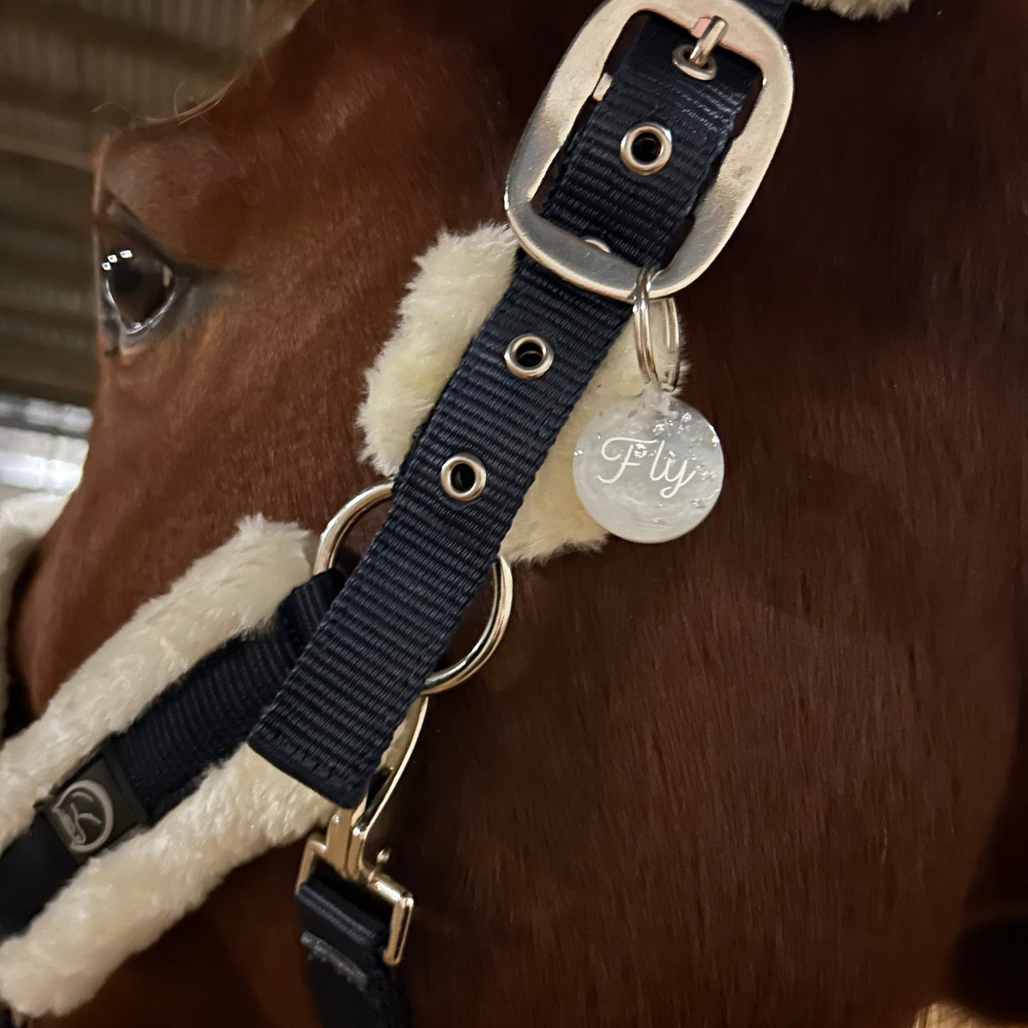 Pferdemarke mit Namen – Anhänger für Halfter & Trense